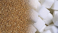 sugar and other products by Hellenic Sugar Industry